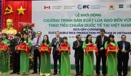Во Вьетнаме стартовала программа устойчивого производства риса - ảnh 1